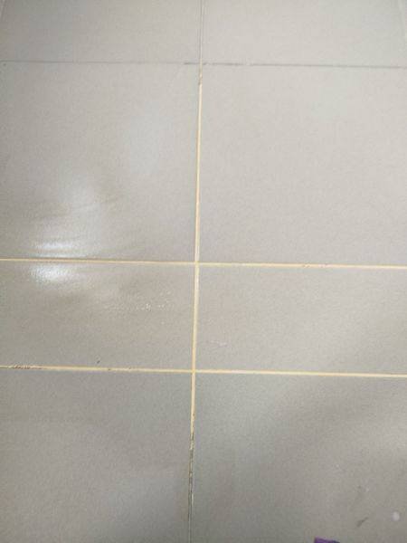 Засіб для очищення швів плитки та нальоту Clean Tile Power 500 мл 2575 фото
